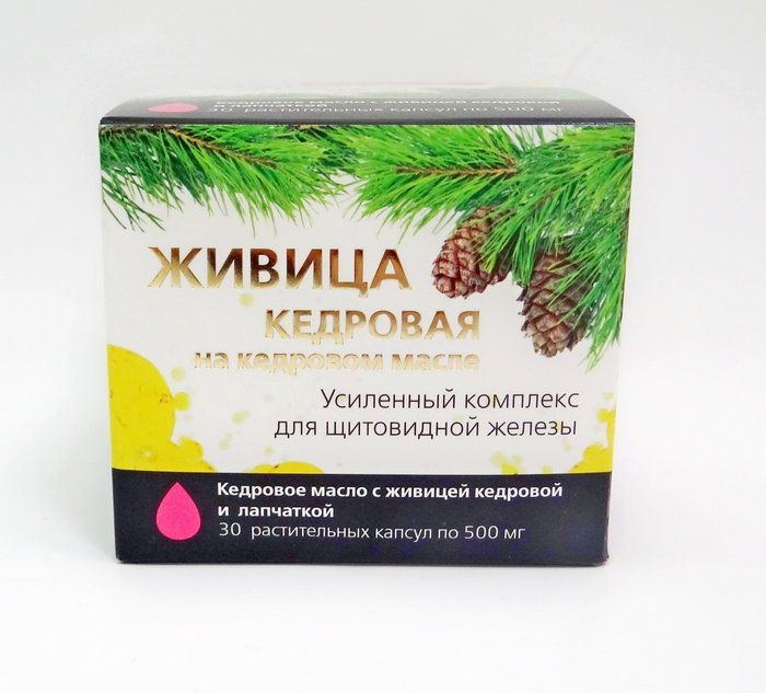 Живица кедровая
