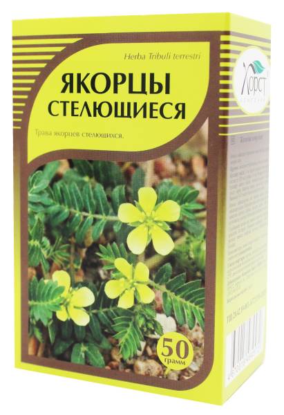 Якорцы стелющиеся Хорст 50г фотография